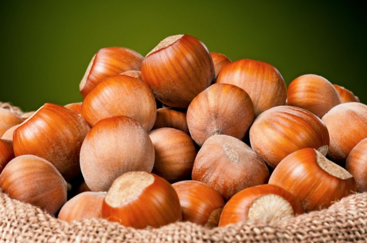 Sagra della nocciola